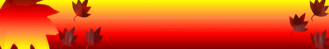 Banner Ahorn