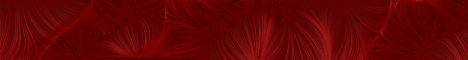 Banner Feder