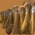 Flachs 